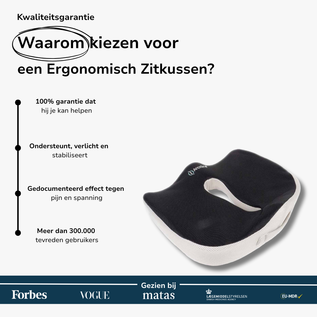 Ergonomisch Zitkussen